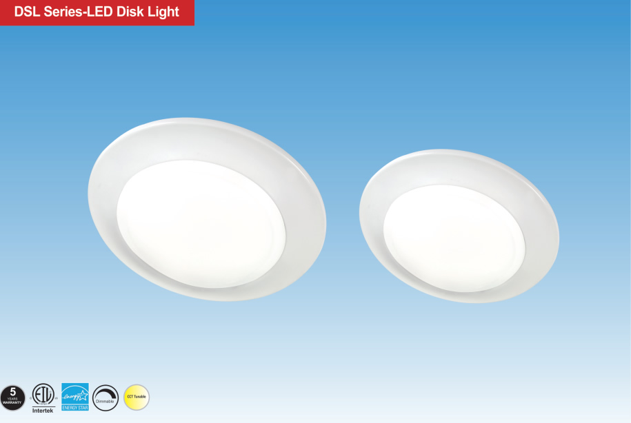 DSL Series-LED Disk Light